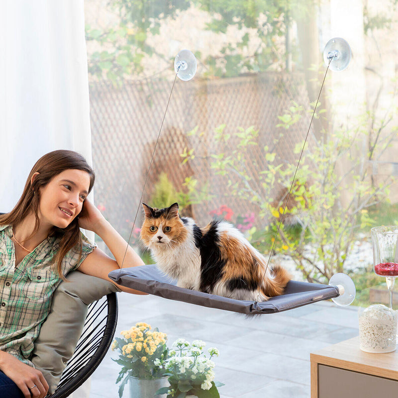 Hamaca Colgante para Gatos Catlax InnovaGoods Dropea