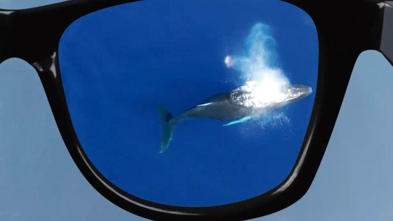 Photocromic Sunglasses Dark Lenses Dropea