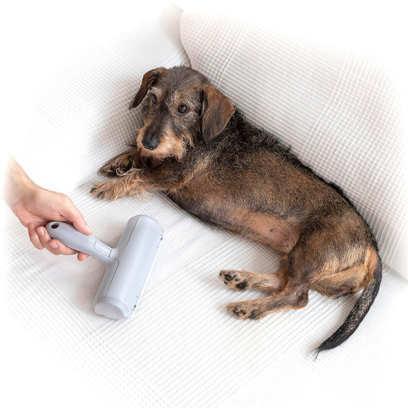 Rodillo Quitapelos de Mascotas Rellair InnovaGoods Dropea